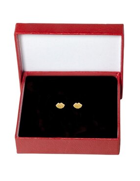 Broqueles de labios Horoz de oro con acabado brillante