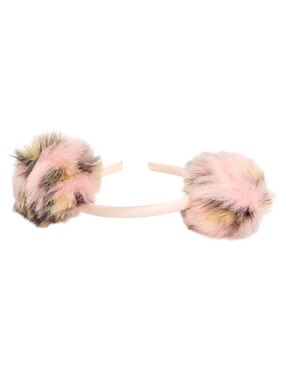 Diadema Piquenique