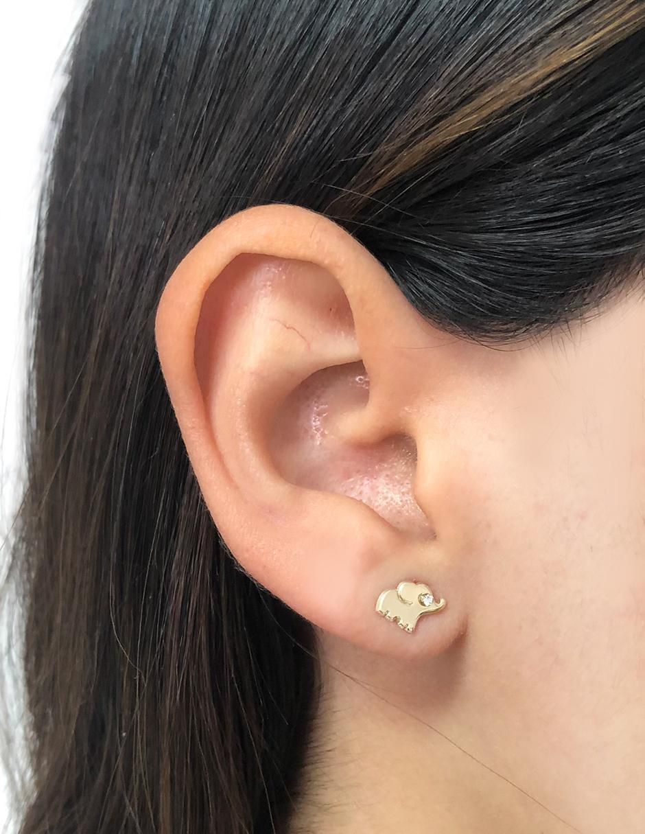 Broqueles de elefante de oro con acabado brillante zirconia 3