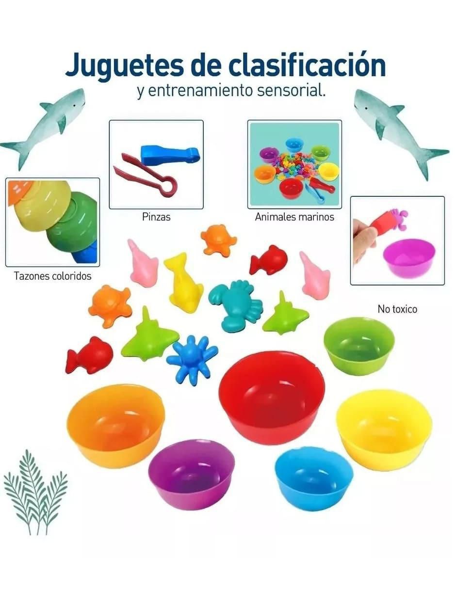 Juego Didáctico infantil unisex 3