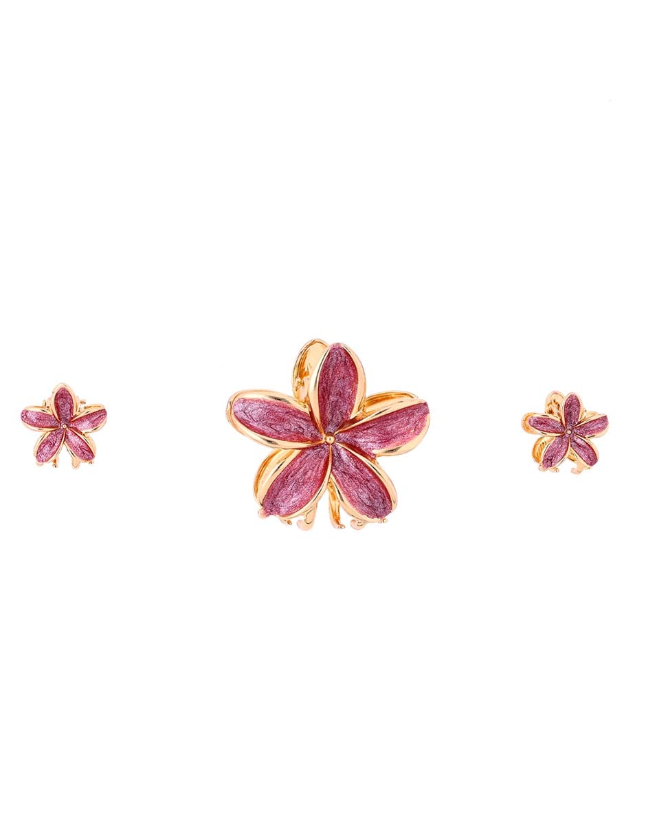 Set pinzas para el cabello de plástico