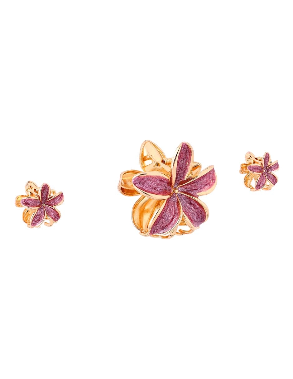 Set pinzas para el cabello de plástico 2