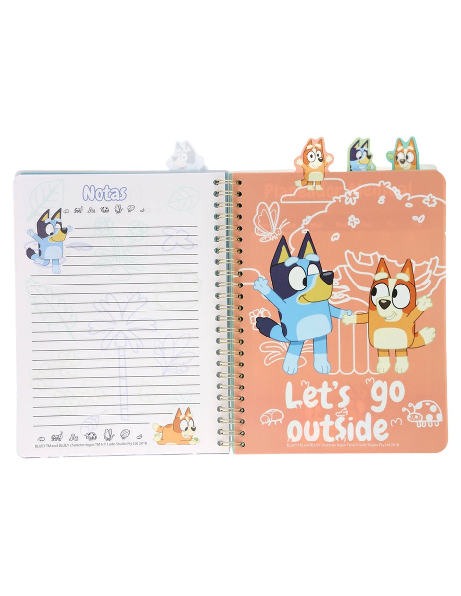 Diario de Bluey 4